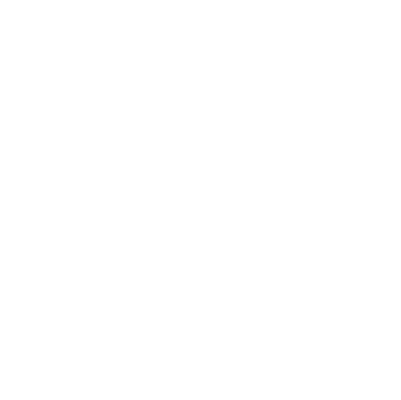 WHITE icon social media